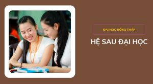 he-sau-dai-học