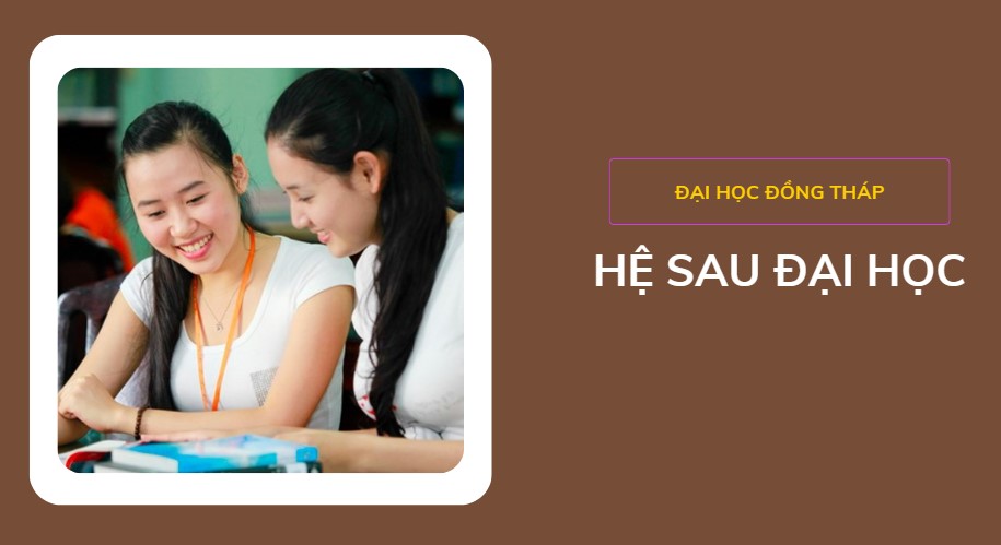 he-sau-dai-học